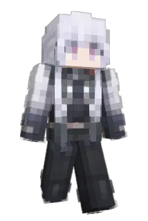 ylwmc Minecraft avatar full body