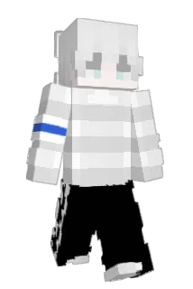 ynowq Minecraft avatar full body