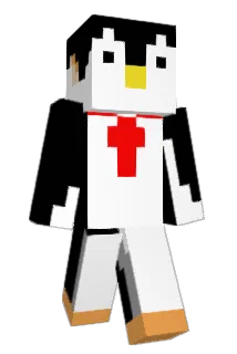 youn_x2 Minecraft avatar full body