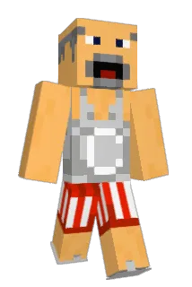 younglarus Minecraft avatar full body