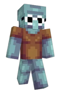 ytnils Minecraft avatar full body