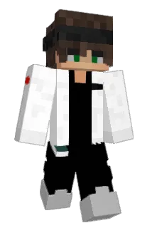 ytsingo Minecraft avatar full body