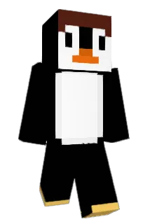 yungbaus Minecraft avatar full body