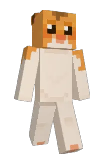 yunm1 Minecraft avatar full body