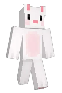 yupuqe Minecraft avatar full body