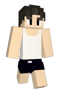 Minecraft-Avatar von yv6s: ganzer Körper