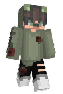 zD4vix Minecraft avatar full body