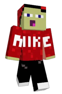 zFlybot Minecraft avatar full body