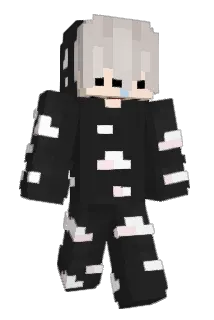 zHyzn Minecraft avatar full body