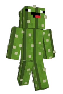 zKaktus Minecraft avatar full body