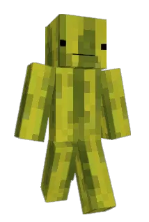 zMellyn Minecraft avatar full body