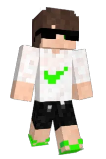 zNP425 Minecraft avatar full body
