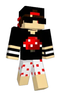 zNinjaBrGamer Minecraft avatar full body