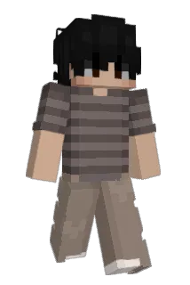 zTrackpad Minecraft avatar full body
