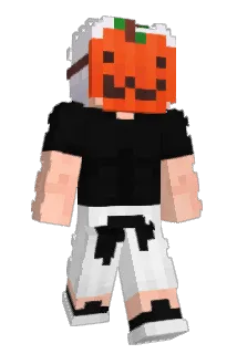 zVin1 Minecraft avatar full body