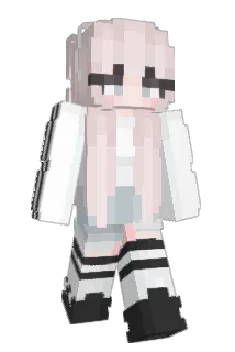 z_Cover Minecraft avatar full body