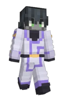 z_wp Minecraft avatar full body