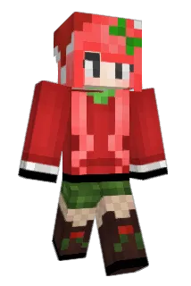 zack2o Minecraft avatar full body
