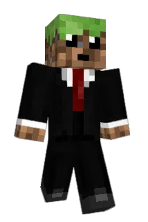 zagshelpzags Minecraft avatar full body