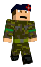 Custom render preview