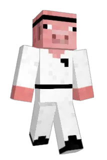 zakara Minecraft avatar full body