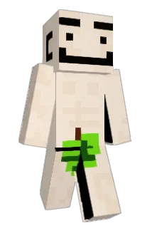 zamzil Minecraft avatar full body
