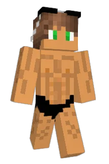 zanemooch Minecraft avatar full body