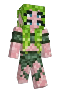 zanni3 Minecraft avatar full body