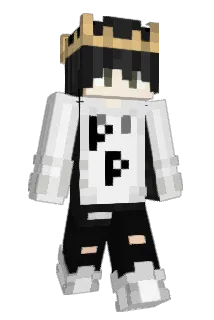 zanz123 Minecraft avatar full body