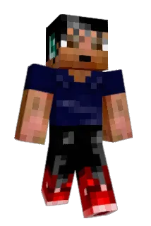 zataro_1 Minecraft avatar full body