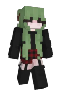 zavidari Minecraft avatar full body
