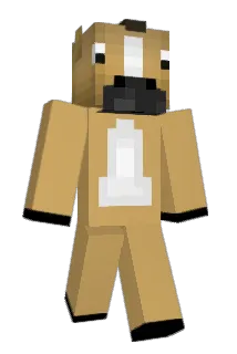 zaydiddy69 Minecraft avatar full body
