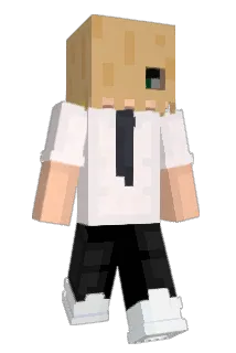 zazafunboy Minecraft avatar full body