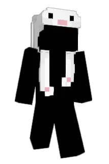 zazauser321 Minecraft avatar full body