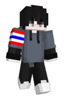 zcm330 Minecraft avatar full body