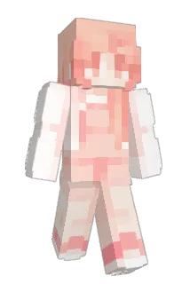 zddzdd Minecraft avatar full body