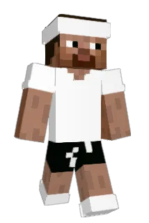 zdoww Minecraft avatar full body