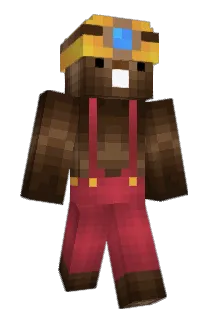 zduniako Minecraft avatar full body