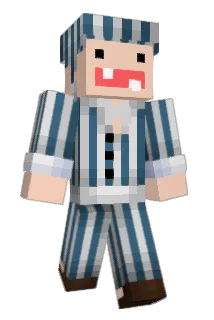ze_Analyzer Minecraft avatar full body