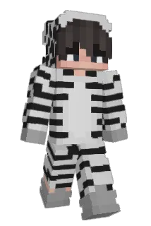 zebrauh Minecraft avatar full body