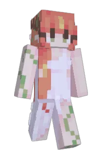 zecharioo Minecraft avatar full body