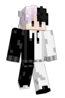 zeddfla Minecraft avatar full body
