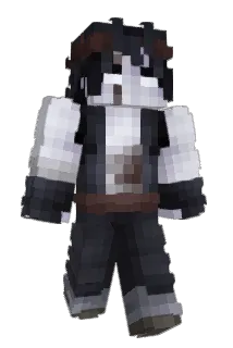 zedolsom Minecraft avatar full body