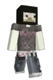 zeecie Minecraft avatar full body