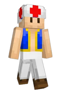 zeekoning Minecraft avatar full body