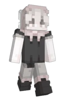 zekoaiden Minecraft avatar full body