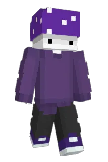 zekyau Minecraft avatar full body