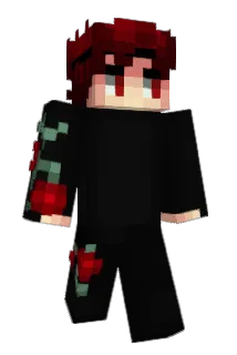 zelexe Minecraft avatar full body