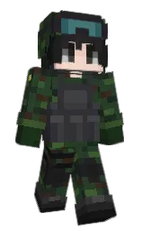 Custom render preview