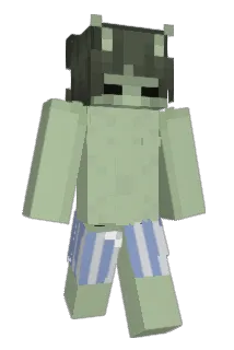 zer01233 Minecraft avatar full body